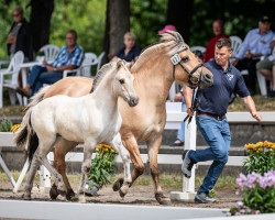 Pferd Riano A&G (Fjordpferd, 2023, von Rion)