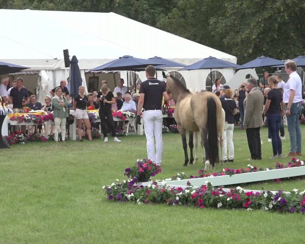 Horse24 Deutsches Fohlenchampionat 2023