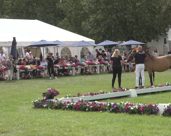 Horse24 Deutsches Fohlenchampionat 2023