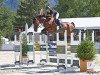 jumper Action Man du Chardon (Swiss Warmblood, 2014, from Action-Breaker)