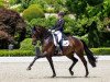 dressage horse Fürstin Bea (Oldenburg, 2014, from Fürstenball)