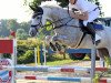 broodmare Keylinda (KWPN (Royal Dutch Sporthorse), 2015, from Sterrehof's Great Blue)