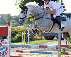 Zuchtstute Keylinda (KWPN (Niederländisches Warmblut), 2015, von Sterrehof's Great Blue)