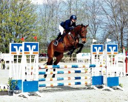 broodmare Vivien N (Oldenburg show jumper, 2017, from Verdi)