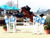 jumper Verdinand N (Oldenburg show jumper, 2016, from Verdi)