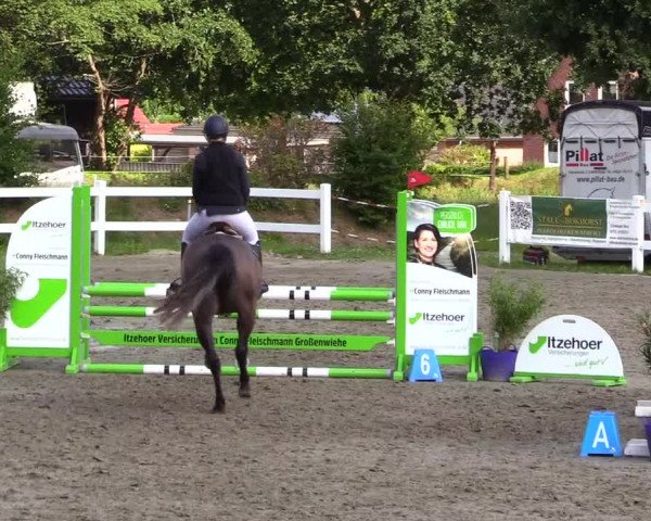 Reitturnier Mildstedt 2023