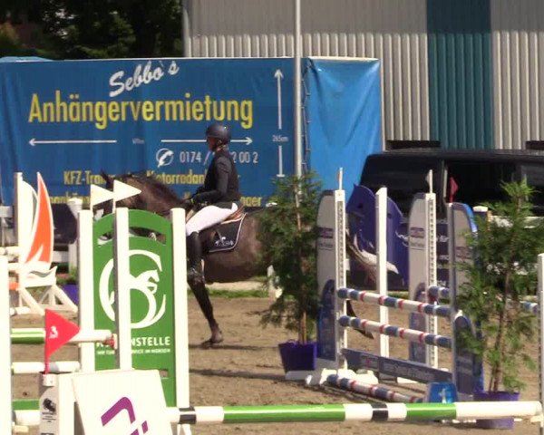 Reitturnier Mildstedt 2023