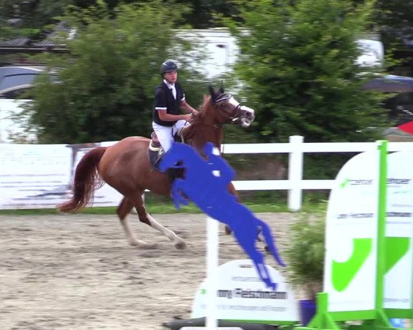 Reitturnier Mildstedt 2023