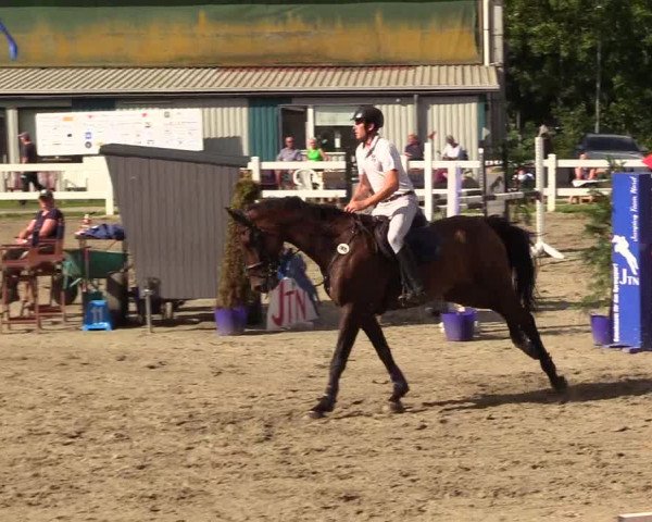 Reitturnier Mildstedt 2023