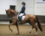 dressage horse Julapalu LS (KWPN (Royal Dutch Sporthorse), 2014, from Apache)