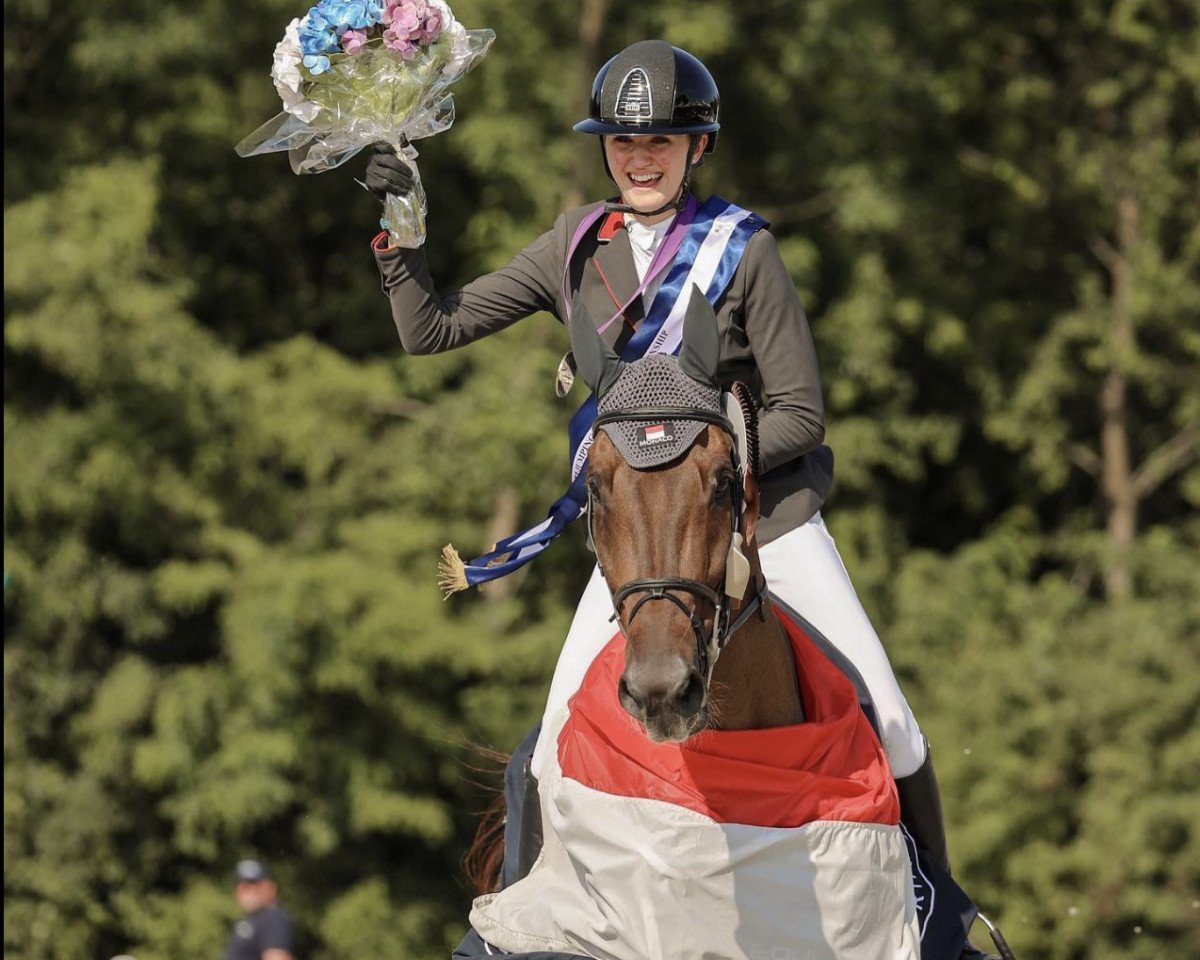 jumper Tailormade Contou (Oldenburg show jumper, 2010, from Conthargos)