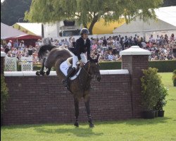 jumper Via vd Karmenhoek Z (Zangersheide riding horse, 2006, from Via Veneto)