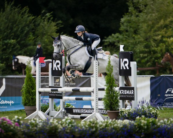 jumper Kaiser 18 (German Riding Pony, 2010, from Kaiserwalzer)