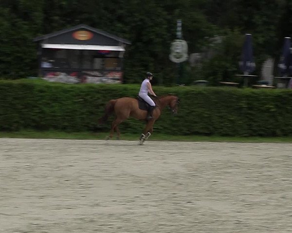 Reitturnier Vlotho-Exter 2023