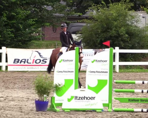 Reitturnier Mildstedt 2023