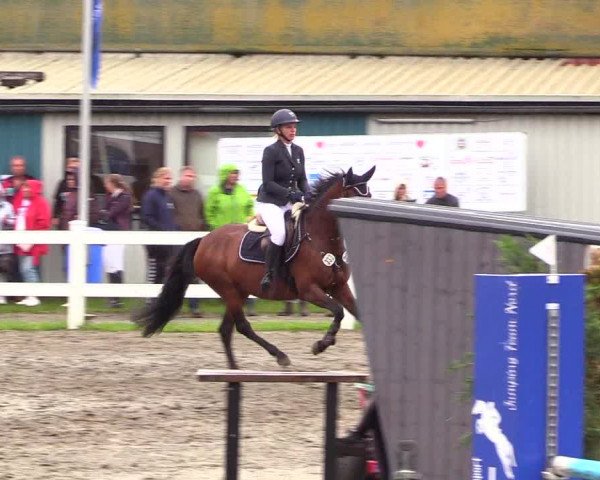 Reitturnier Mildstedt 2023