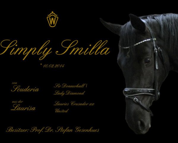 Zuchtstute Simply Smilla (Westfale, 2014, von Scuderia)