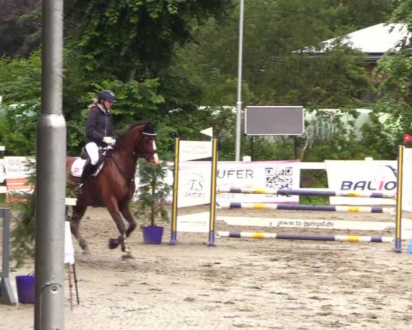 Reitturnier Mildstedt 2023