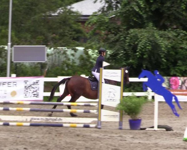 Reitturnier Mildstedt 2023