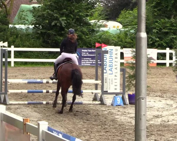 Reitturnier Mildstedt 2023