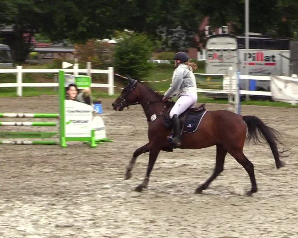 Reitturnier Mildstedt 2023