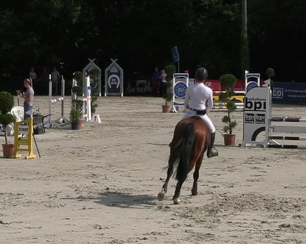 Reitturnier Vlotho-Exter 2023
