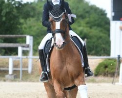 dressage horse Riverdance 66 (Hanoverian, 2006, from Rascalino)