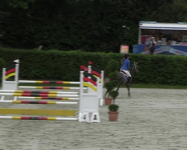 Reitturnier Vlotho-Exter 2023