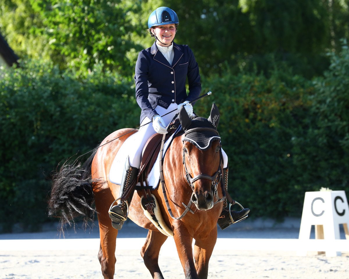 broodmare Loria von Wartensee (German Riding Pony, 2017)