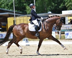 dressage horse Forever Friend (Rhinelander, 2014, from Follow Me OLD)