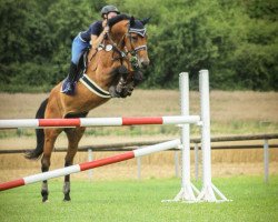 Springpferd Carlotta (Hessisches Warmblut, 2002, von Carismo II 123 FIN)