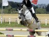 jumper Karlson 39 (German Sport Horse, 2015, from Kaiserwind)