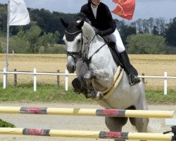 jumper Karlson 39 (German Sport Horse, 2015, from Kaiserwind)