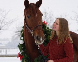 broodmare Diva Dream Fh (Rhinelander, 2016, from Glock's Dream Boy)