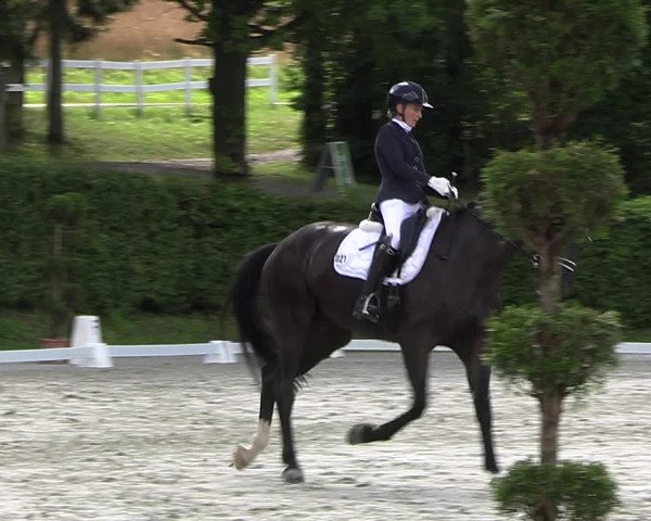 Reitturnier Vlotho-Exter 2023