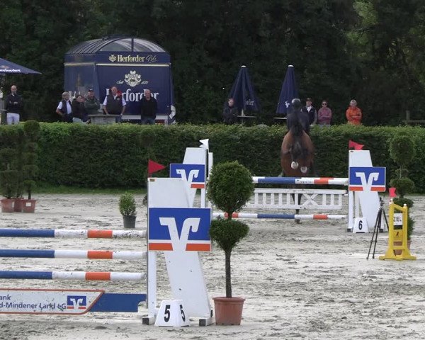 Reitturnier Vlotho-Exter 2023