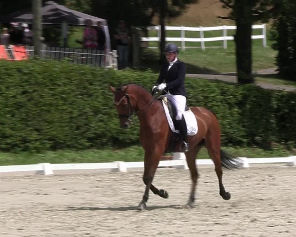 Reitturnier Vlotho-Exter 2023