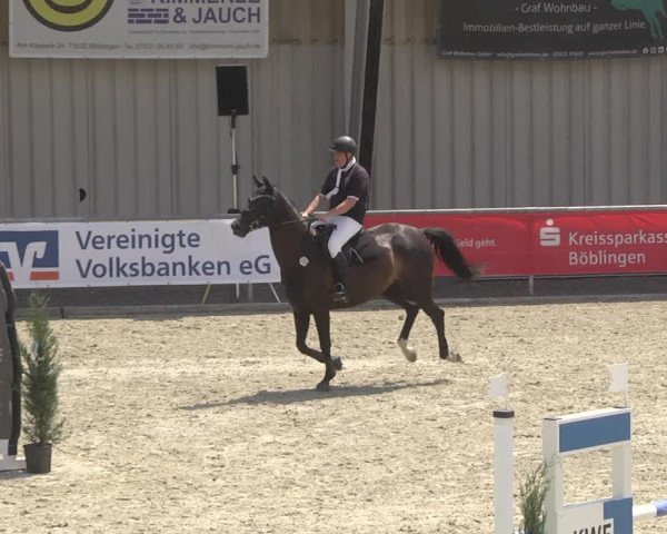 Reitturnier Ehningen 2023