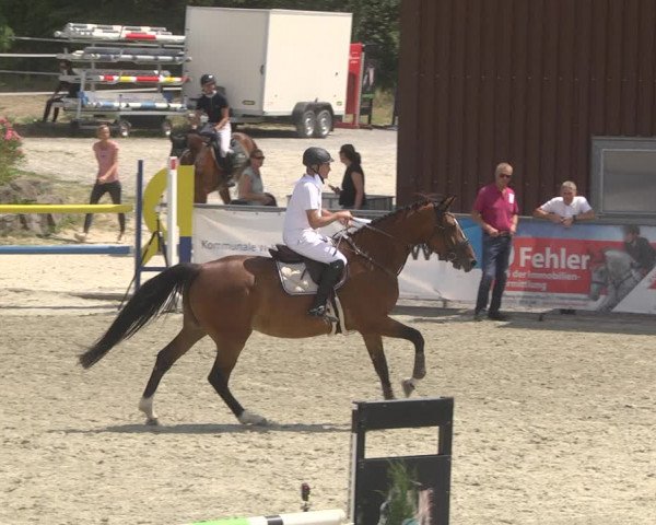 Reitturnier Ehningen 2023