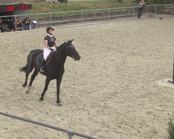 Reitturnier Ehningen 2023