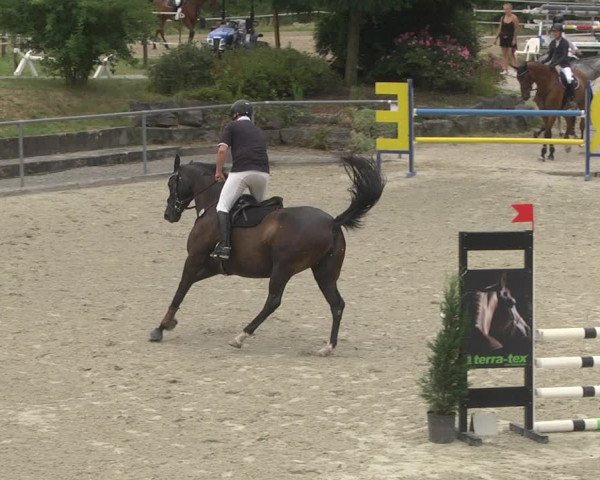 Reitturnier Ehningen 2023