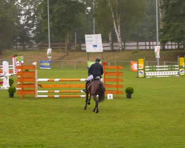 Reitturnier Gardelegen 2023