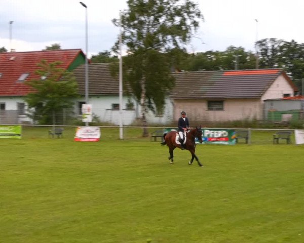 Reitturnier Gardelegen 2023