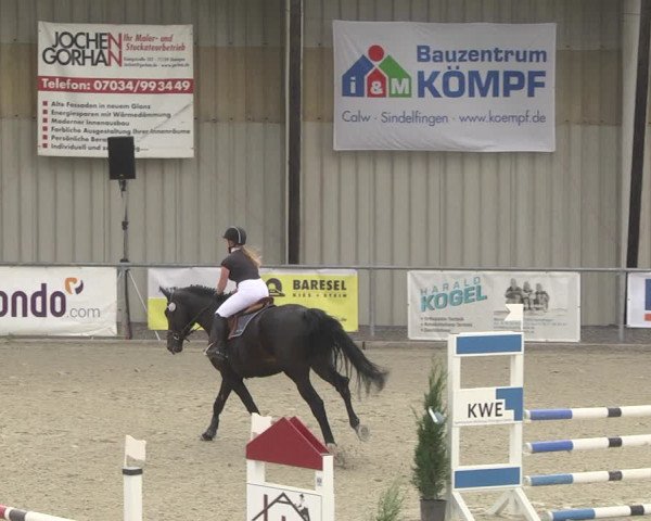Reitturnier Ehningen 2023