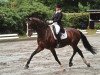 dressage horse Don Camillo B (Oldenburg, 2006, from Diamond Hit)