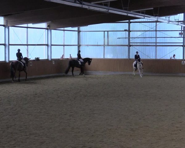 Reitturnier Herbern 2023