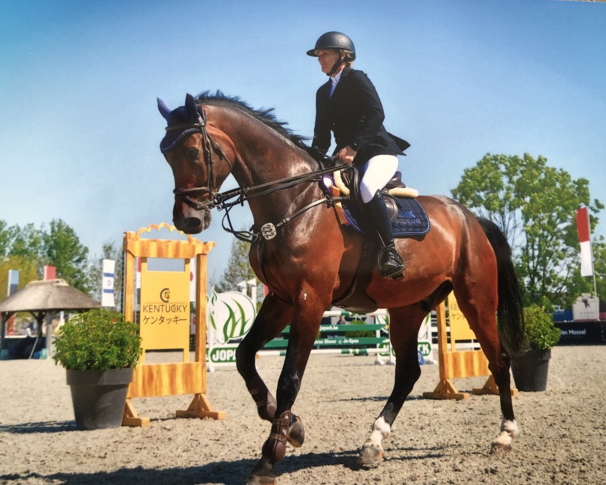 jumper Kygo (KWPN (Royal Dutch Sporthorse), 2015, from Grand Slam VDL)