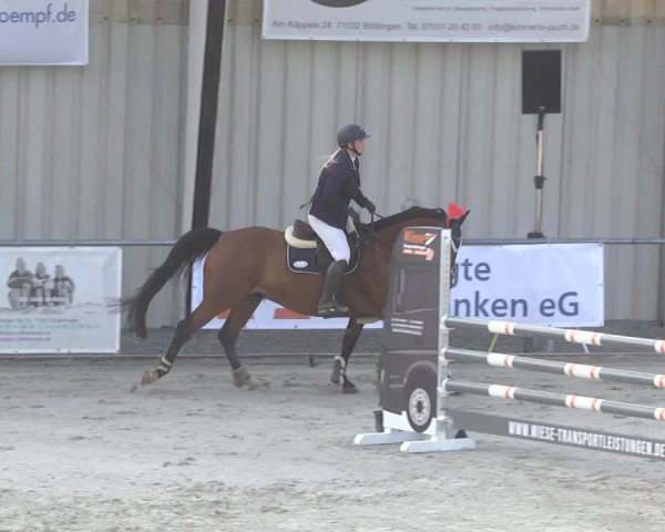 Reitturnier Ehningen 2023