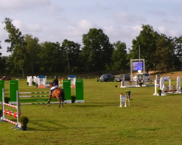 Reitturnier Gardelegen 2023