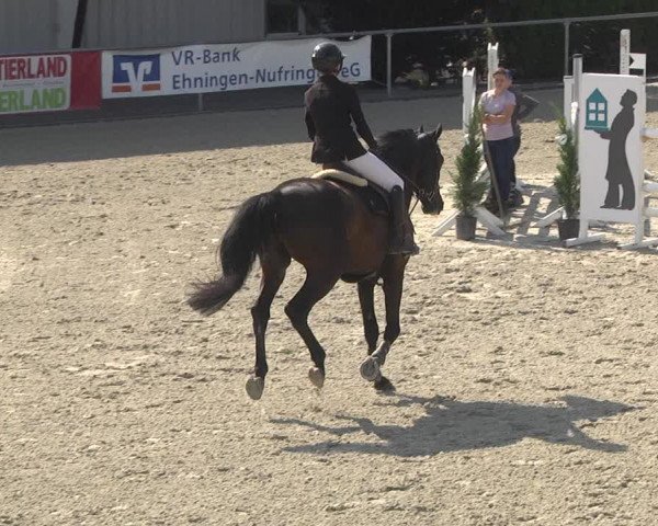 Reitturnier Ehningen 2023